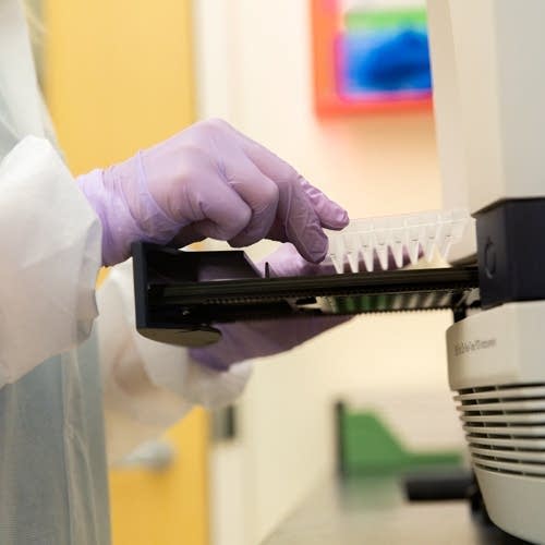 Science researcher working with samples in laboratory